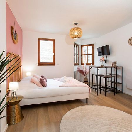 Nouveau - Le Discovery - Petite Venise Colmar Bagian luar foto